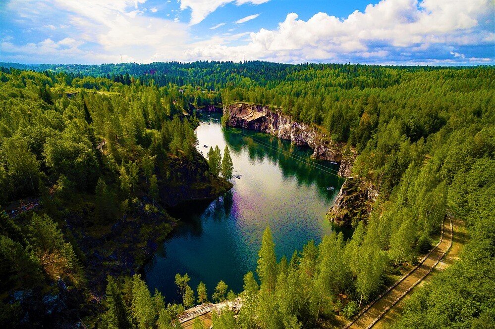 Можжевельник в карелии фото