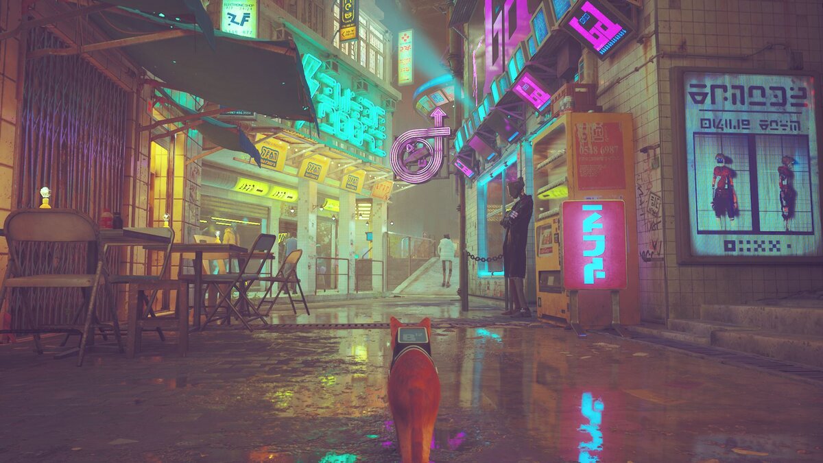 Stray game 2022. Stray игра. Странный кот из игры. Кот из новой игры. Кот киберпанк.