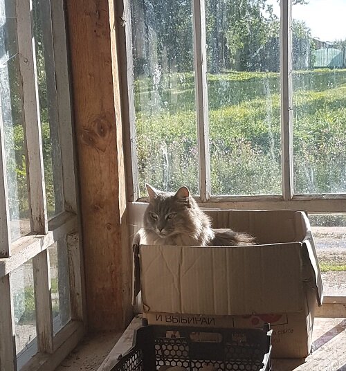 Фото автора