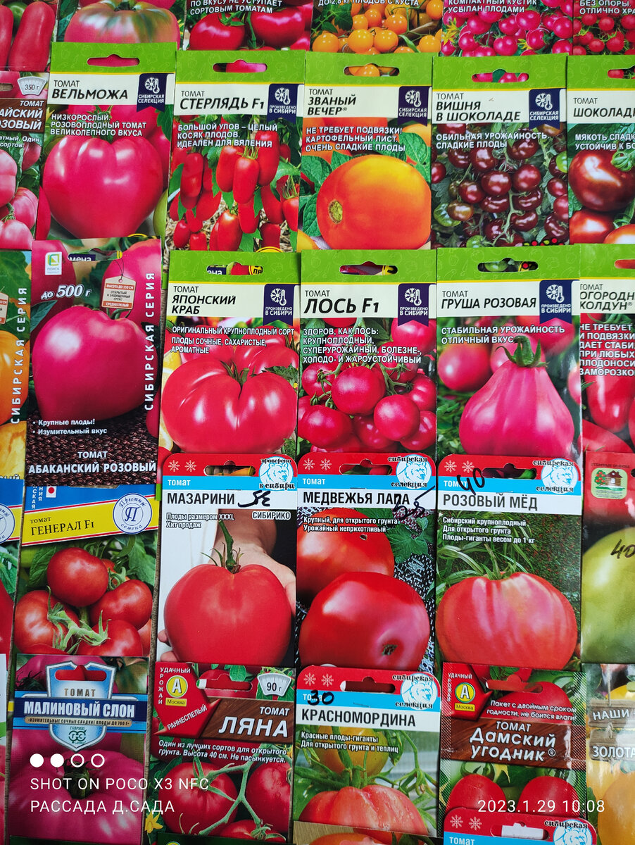 А вот и Лось