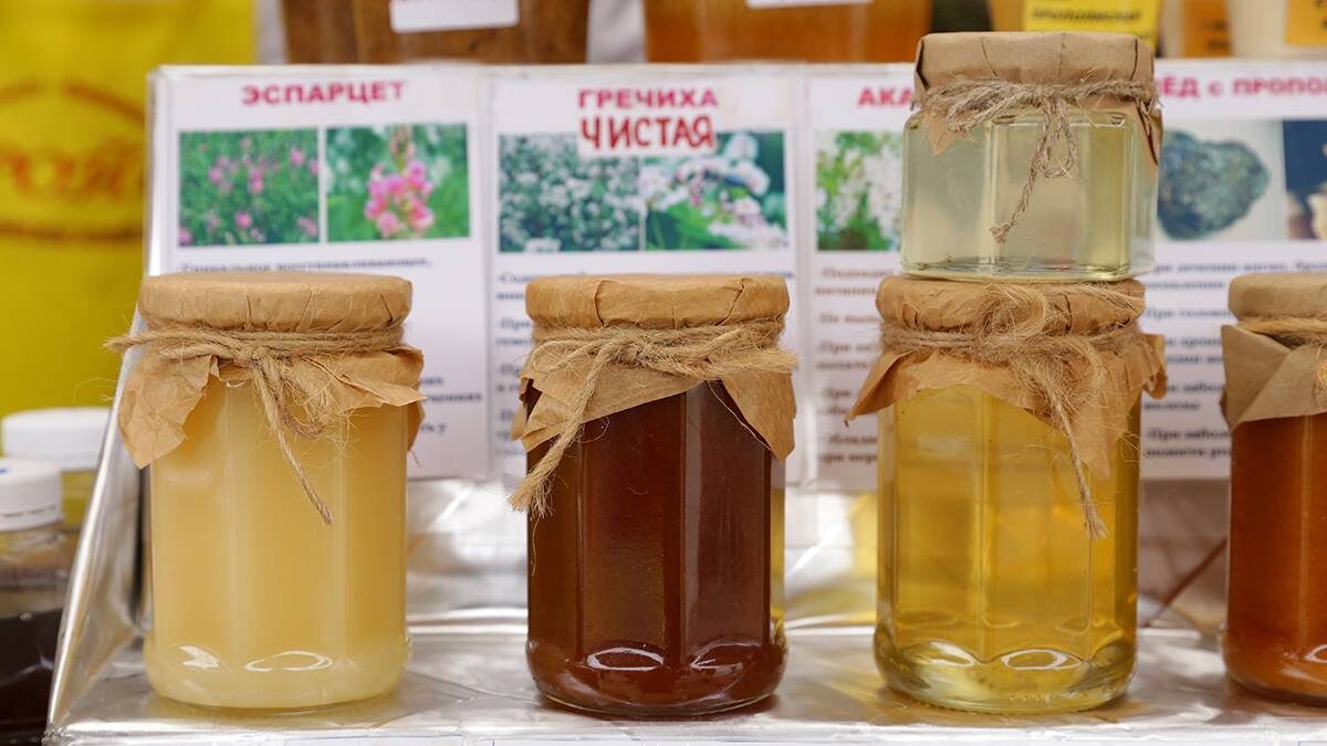    Фото: Анатолий Цымбалюк / Вечерняя Москва