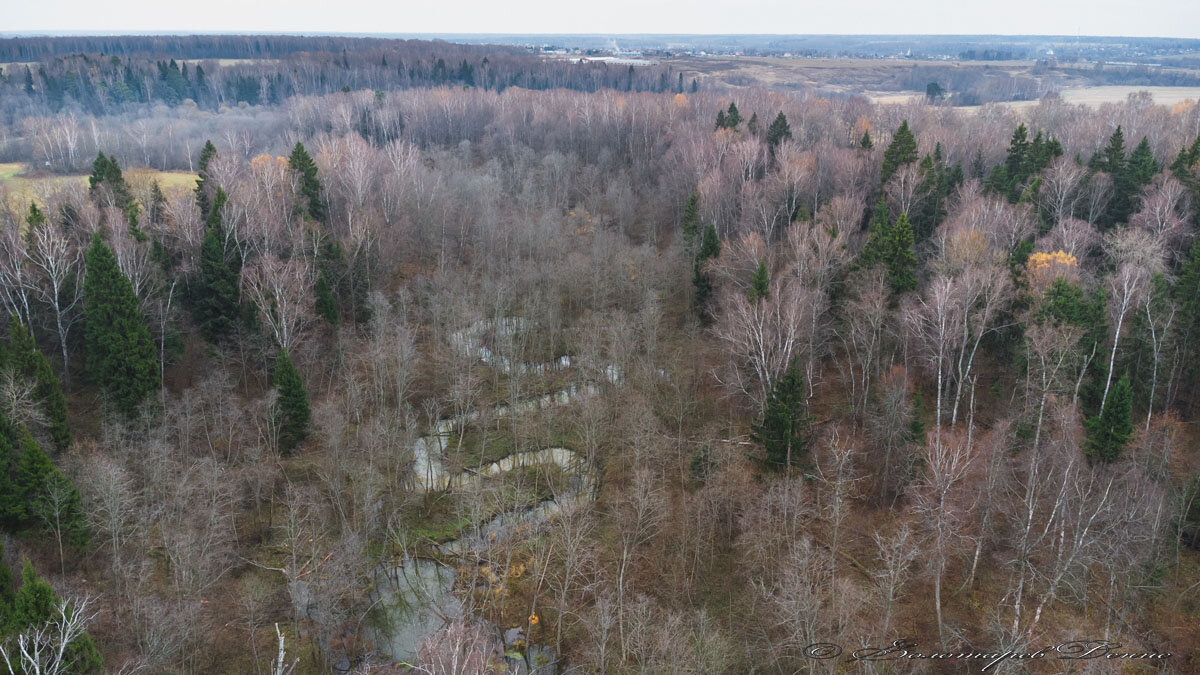 История одного ручья или как... | Тропами Руси | Дзен