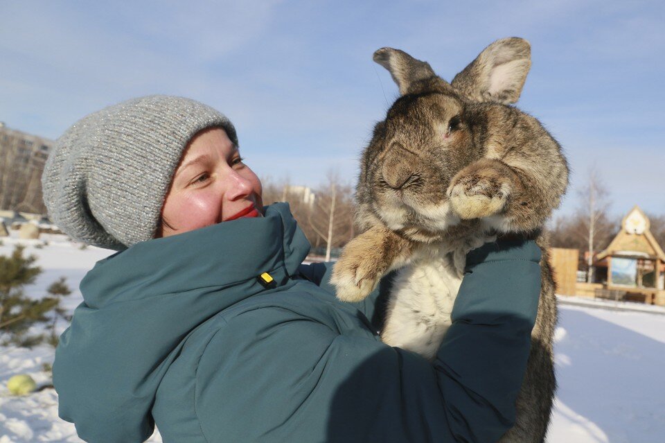     Символом 2023 года будет кролик Олег УКЛАДОВ