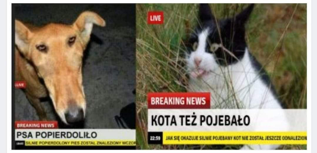 Образ современного российского IT, фото в цвете