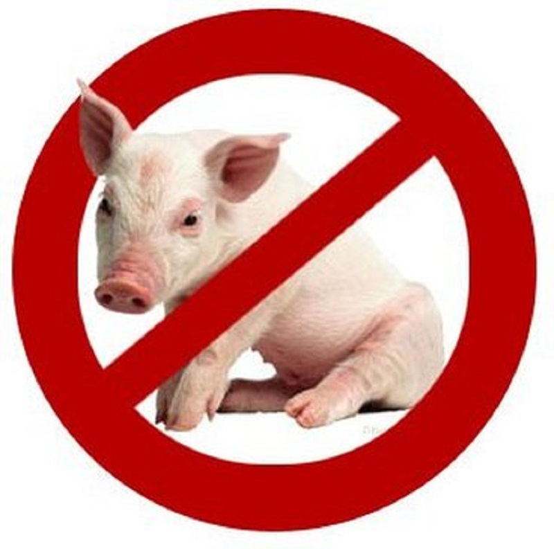 Ислам строго запрещает употребление свинины в пищу