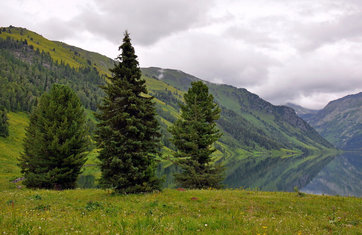 Правый берег озера Тальмень обрамляет крутой солнцепечный склон с группами скал и редколесьями из кедров и лиственниц. 
