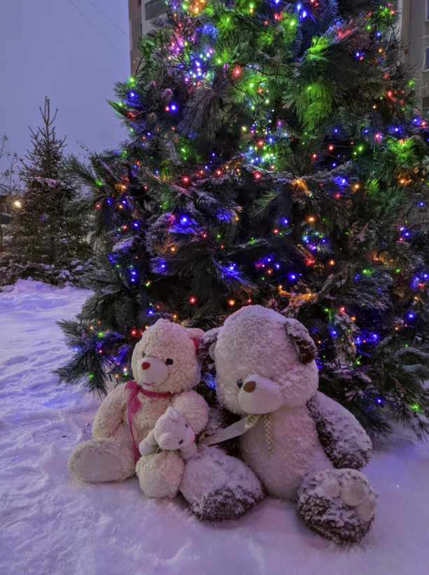 Vladimir Danilov . С наступающим всех!