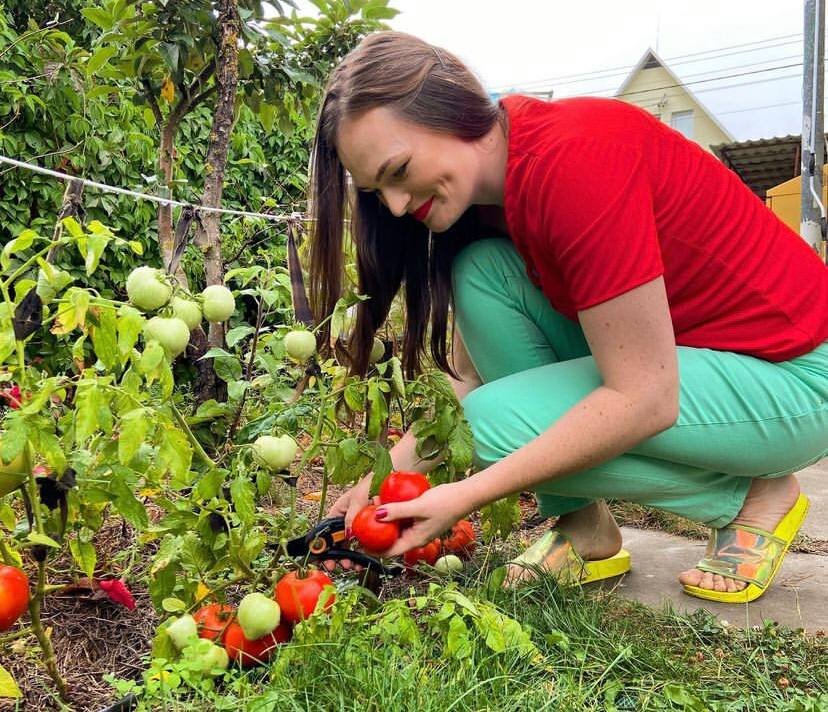 Дачный агроном собирает урожай 