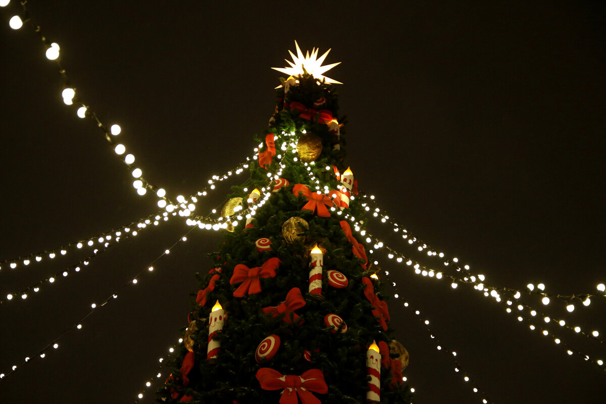 Фото: Maksim Konstantinov/Globallookpress