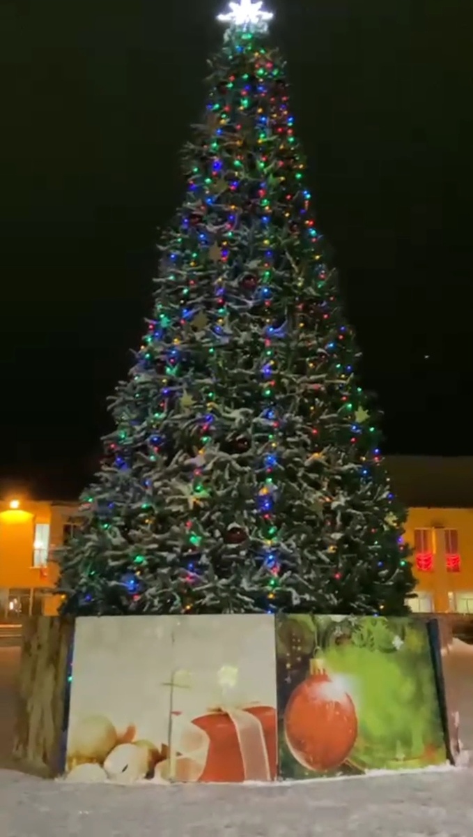 Городская елка.
