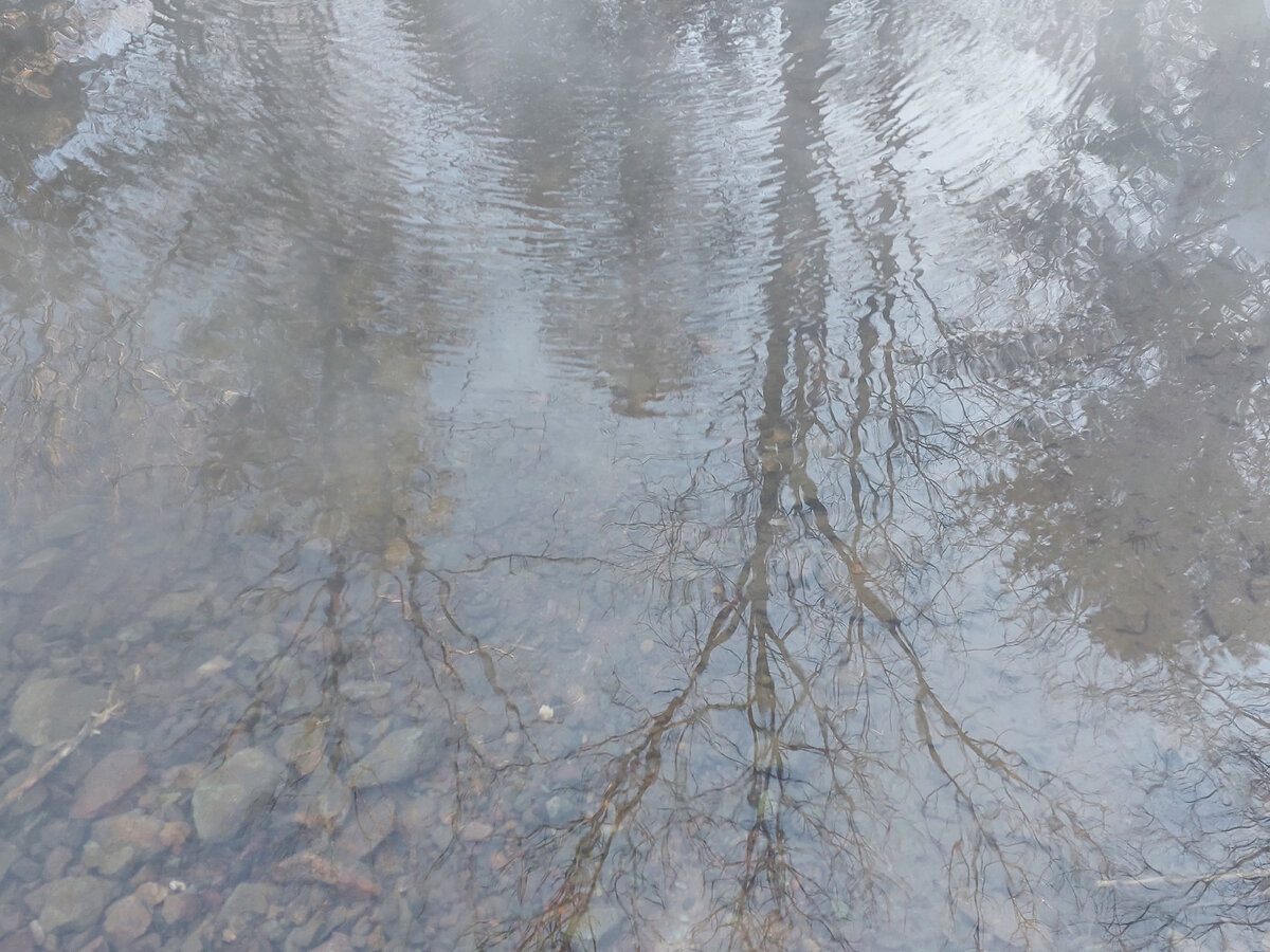 Вода не прозрачная, дно каменистое.