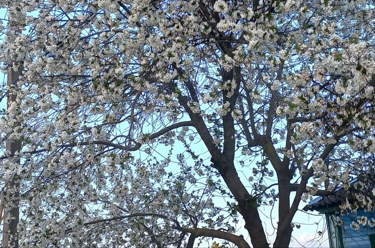 Фото из личного архива