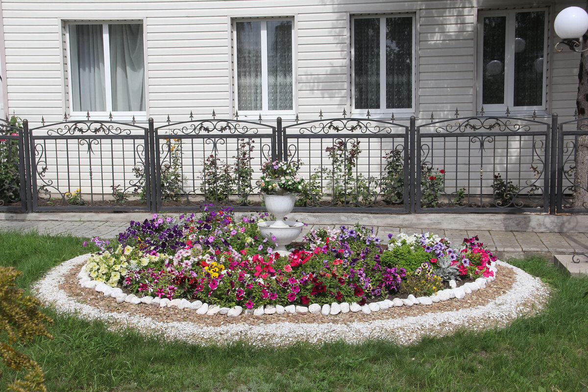 фото из интернета