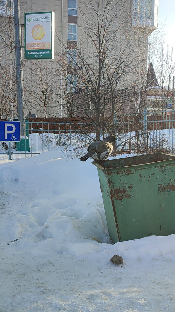 Личное фото.
