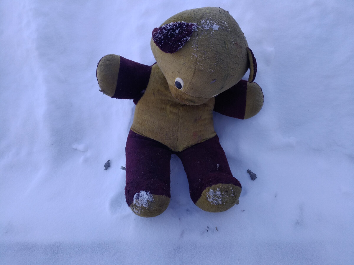 Мишку лет 10 тому назад подобрал в лесу. Кто-то выбросил.