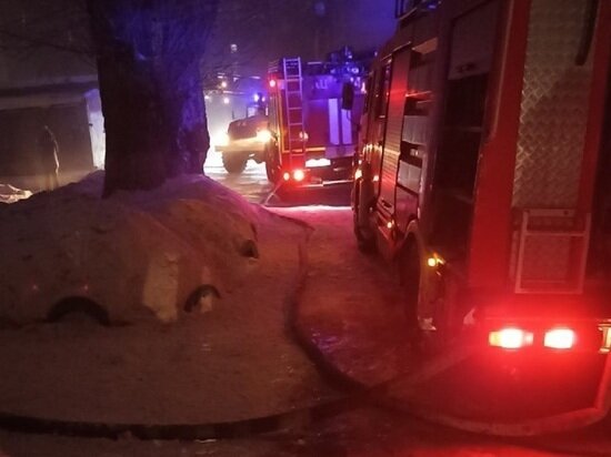     Фото: ГУ МЧС по Алтайскому краю