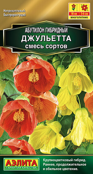 Сеянцы начинают показываться на 2-3 неделю посева. Через 7-10 дней их можно пикировать и рассадить по небольшим стаканчикам.  