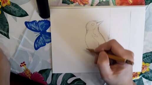 Дятел рисунок для детей карандашом поэтапно