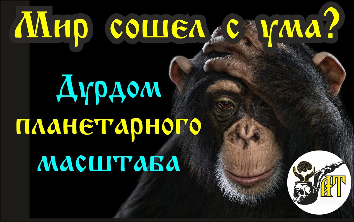 Мир сошел с ума? (Дурдом планетарного масштаба). | Александр Татарков | Дзен