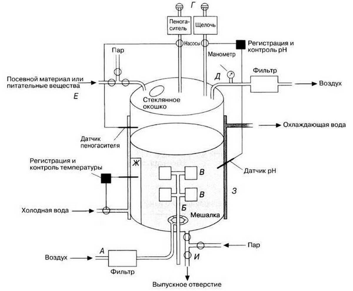 Простейший способ ферментации. Биореактор ферментер чертеж. Биореактор ферментер Solaris m50. Ферментер для культивирования микроорганизмов схема. Схема биореактора с механическим перемешиванием.