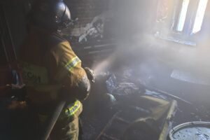    Фото: МЧС по Тюменской области Наталья Анисеева