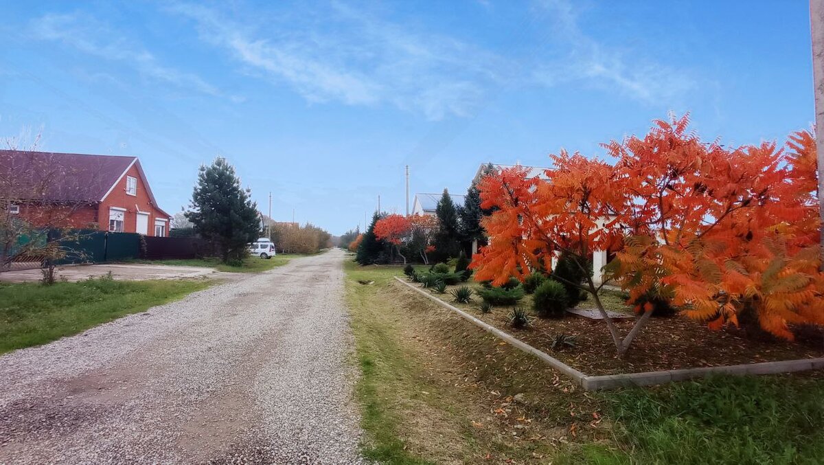 Улица в микрорайоне Новые Планы в станице Саратовская осенью