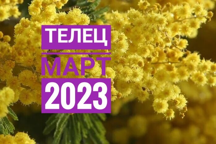 Телец 15 мая 2024. Лев март. Март 2024. 14 Мая Дева horouaset.