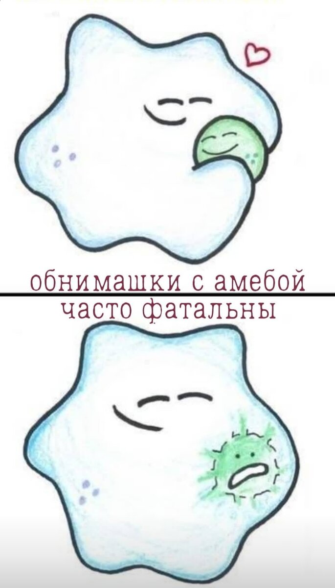 Фагоцитоз - поглощение твёрдых частиц. Другими словами, амёба покушала.