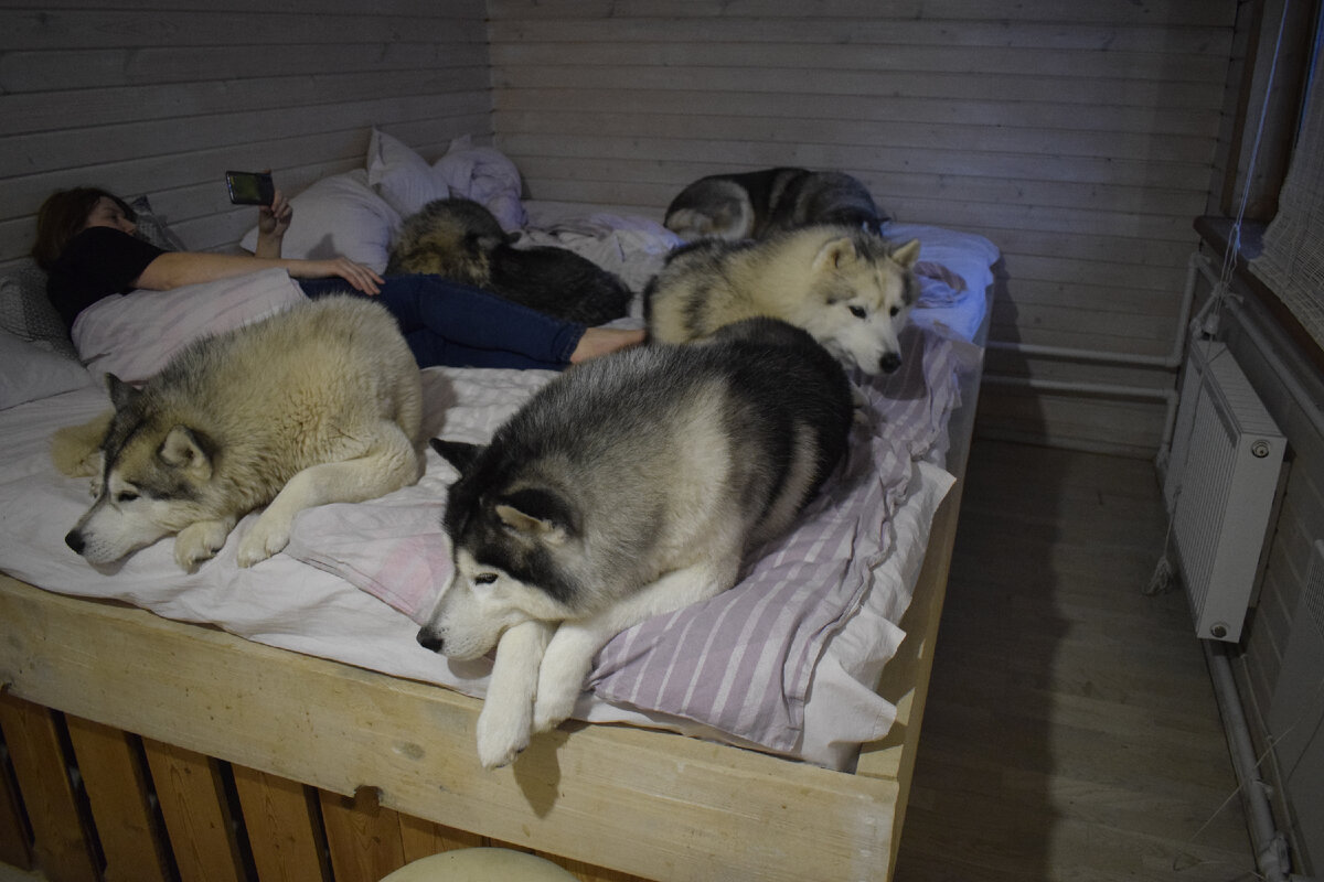 Место безопасное, но только когда рядом хозяин