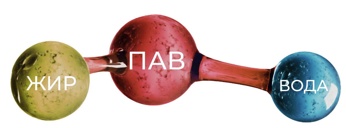 Взаимодействие ПАВ с водой и жиром 