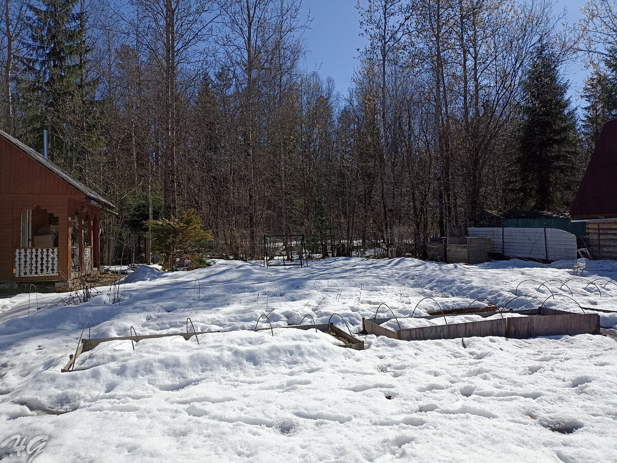 Огород в конце апреля