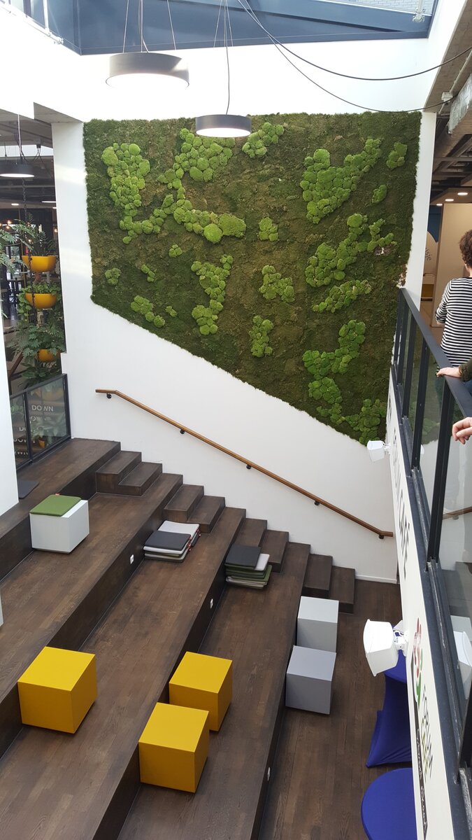 Применение стабилизированного мха в общественном помещении.