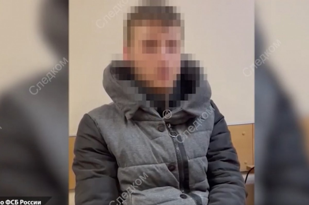    26-летний мужчина обвиняется в совершении ряда преступлений террористической направленности.