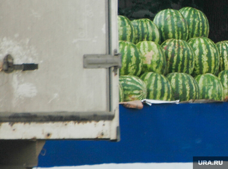    В грузовом отсеке находились скрытые арбузы и груши, не указанные в документах