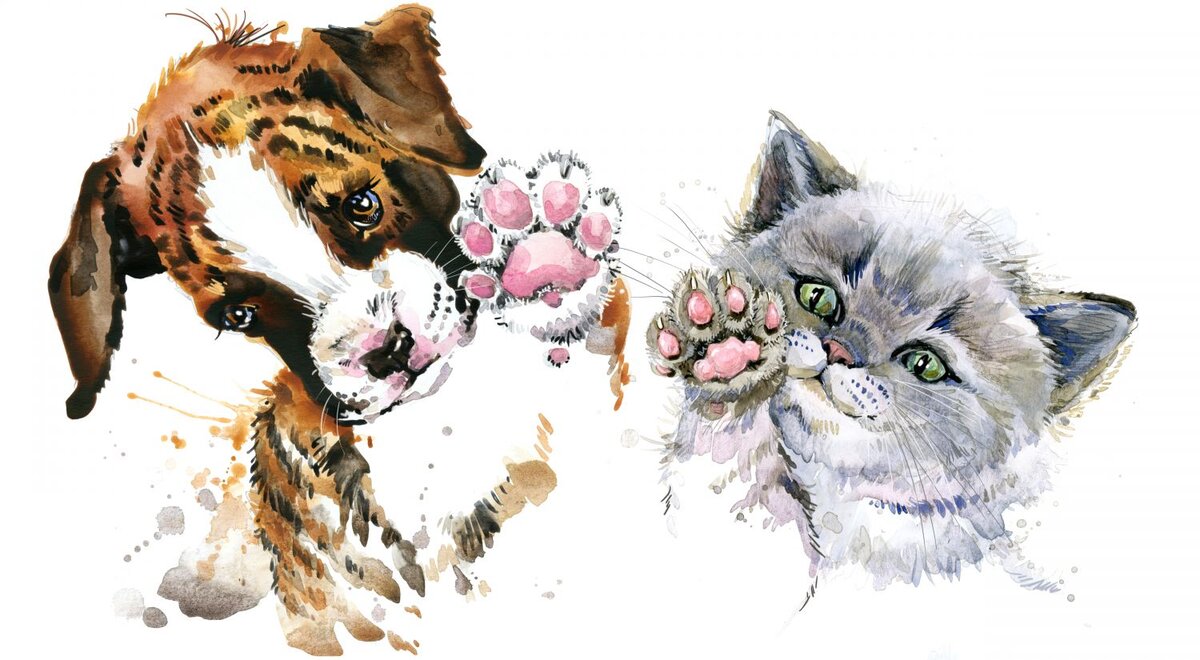 Рисунок из открытых источников