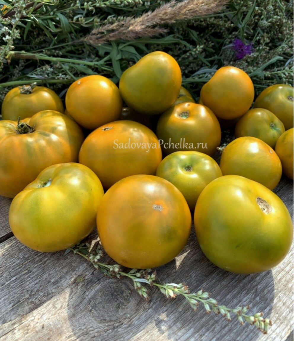 На мой взгляд для скромного малыша плоды вполне впечатляющие, вы не находите?