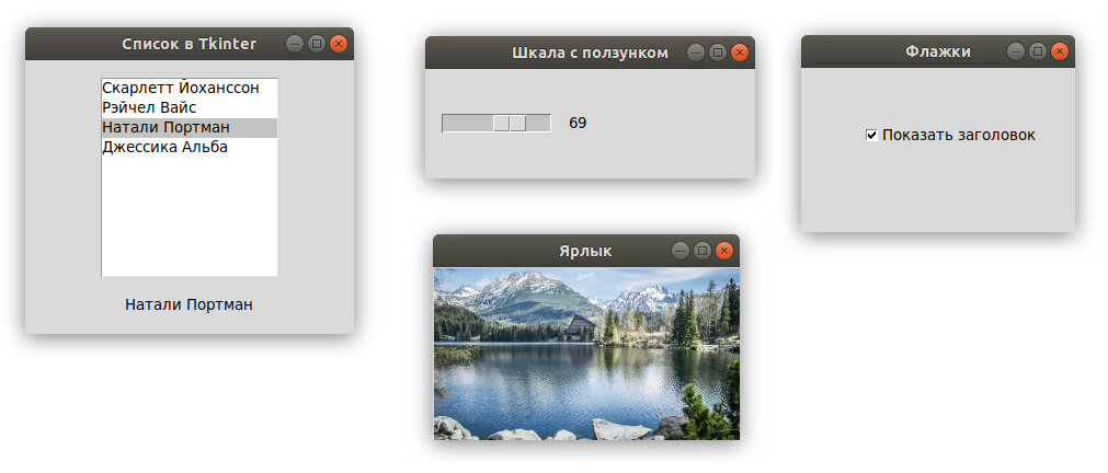 Python tkinter label. Tkinter Виджет. Python Tkinter виджеты. Tkinter все виджеты пример. Tkinter шкала с ползунком.