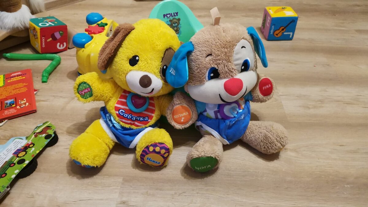 Собаки