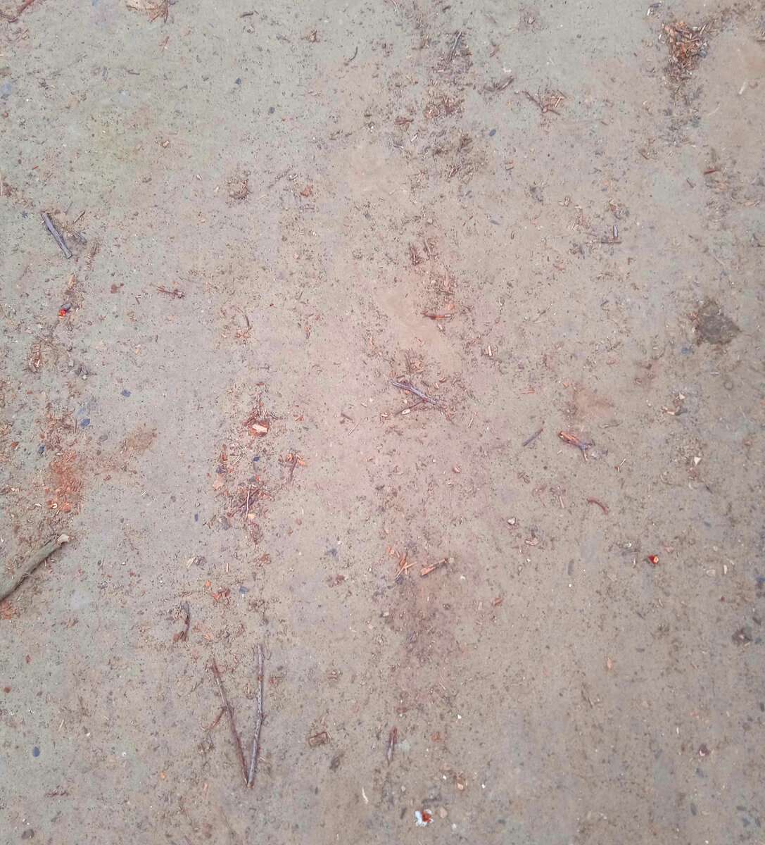 Здесь я ничего не нашла.... 