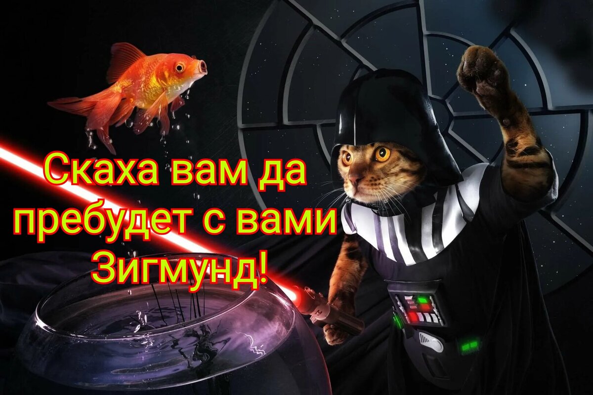 Манюська из попичконов телеграм канал. Аватарки для дзен канала. Попичконы дзен. Магюська из попичконов дзен.
