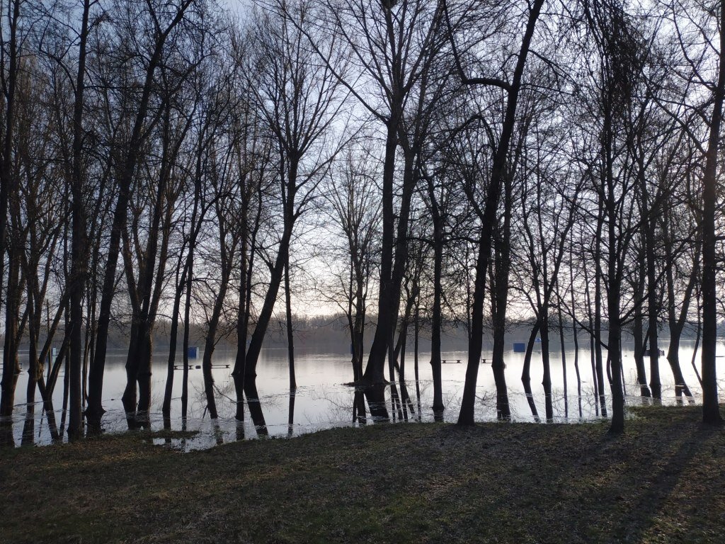 Как разлилась Березина. Фотофакт