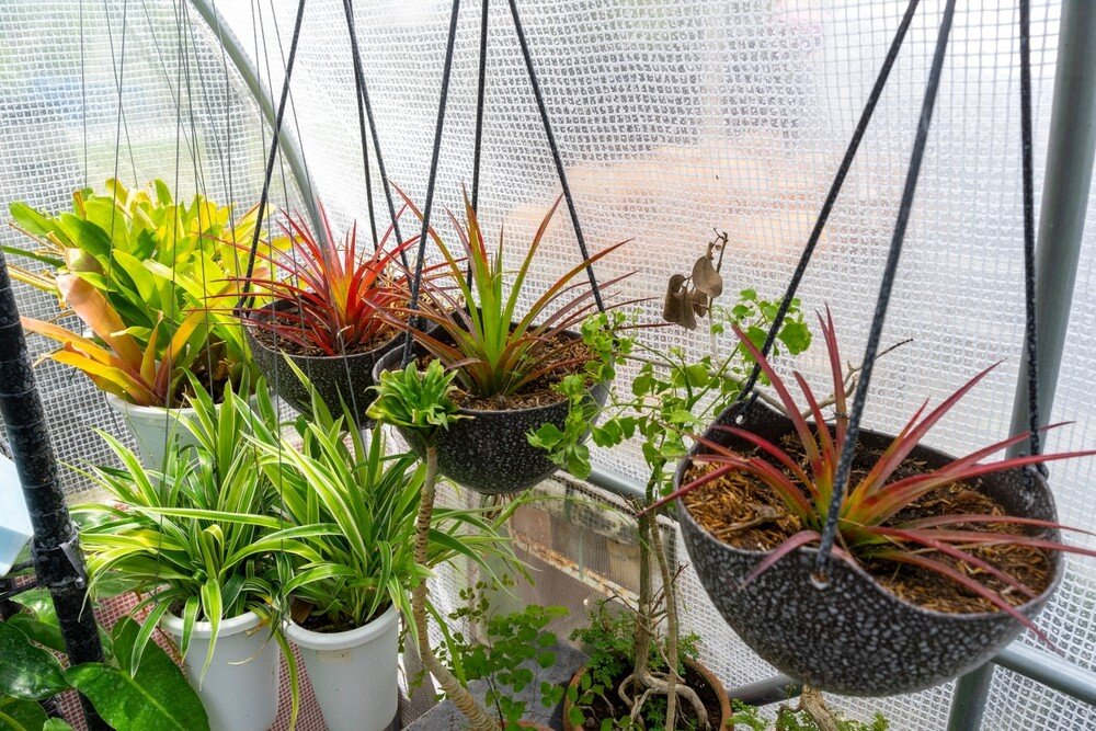    ShutterStock/Fotodom.ru