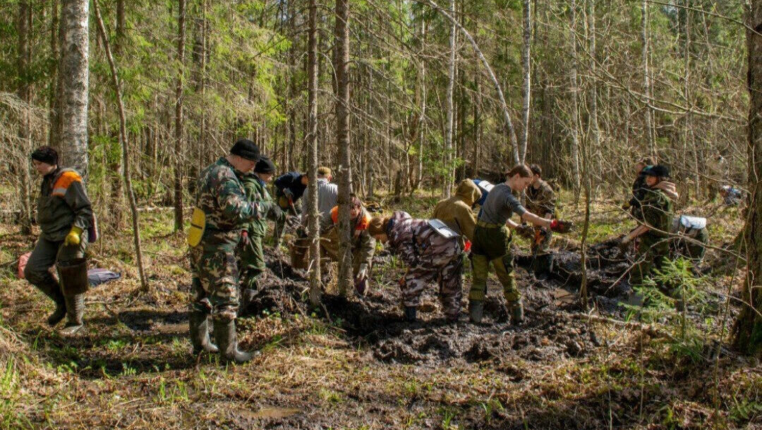     Поисковики из Удмуртии подняли останки 13 бойцов Красной Армии и двух бойцов Вермахта, найденные ими в Ленинградской области. Об этом сообщается в телеграм-канале «Бессмертный полк».