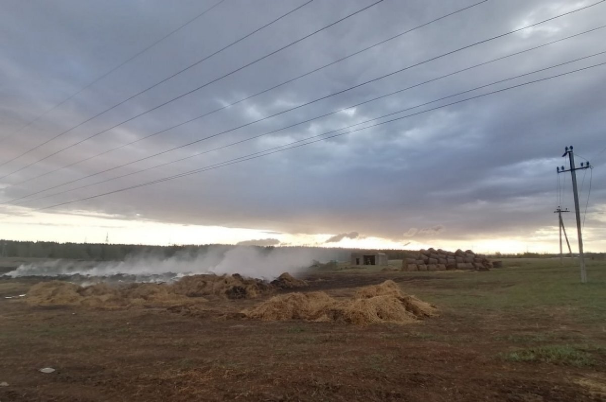    Под Красноярском мальчишки сожгли сено на 500 тыс. рублей