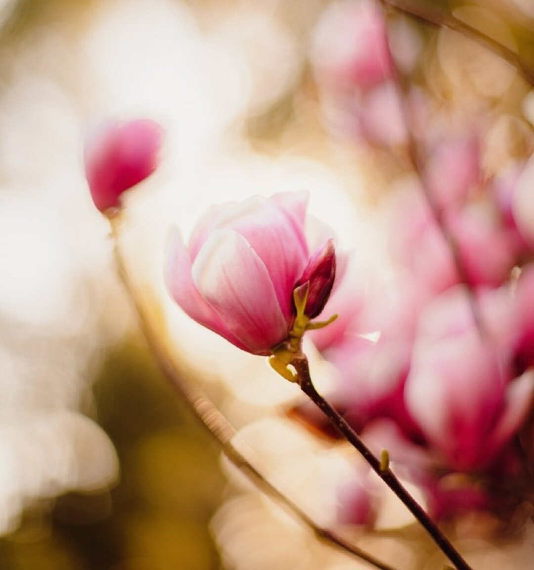 Источник: https://unsplash.com/  