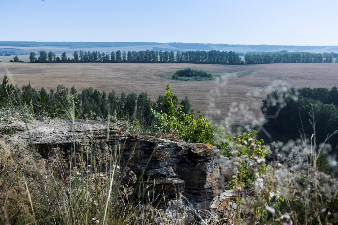 Буздякский район. Фото: Мария Брук, https://nashural.ru