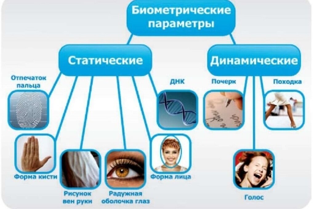 Фото это биометрические данные