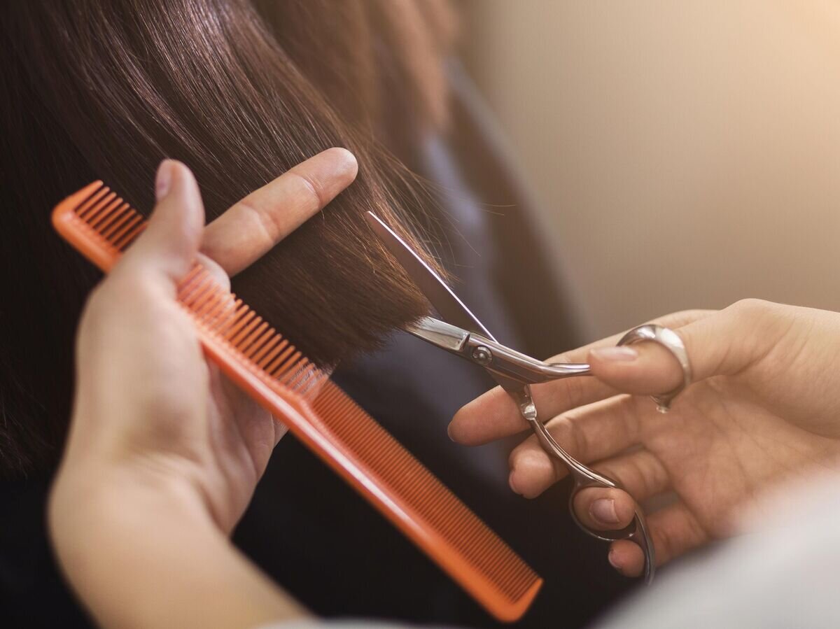    Стрижка волос© iStock.com / Prostock-Studio