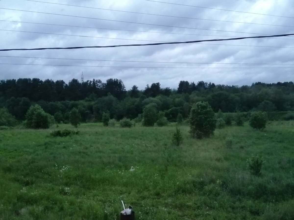 Вид со второго этажа на южную сторону. Мечта интроверта :)