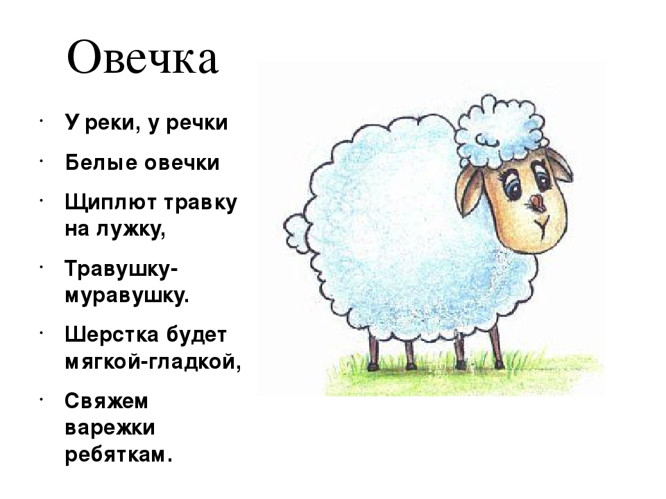 "У бабушки в деревне" (детям о домашних животных) infourok.ru